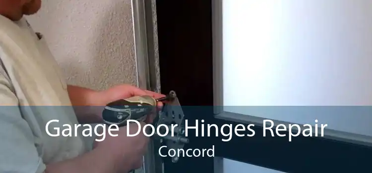 Garage Door Hinges Repair Concord