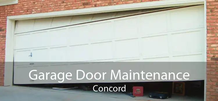 Garage Door Maintenance Concord