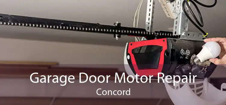 Garage Door Motor Repair Concord