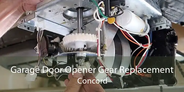 Garage Door Opener Gear Replacement Concord