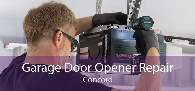 Garage Door Opener Repair Concord
