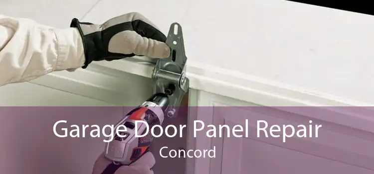Garage Door Panel Repair Concord