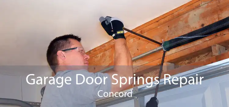 Garage Door Springs Repair Concord