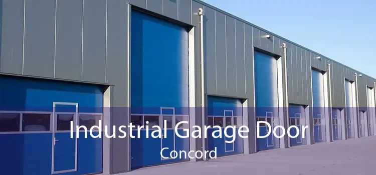 Industrial Garage Door Concord