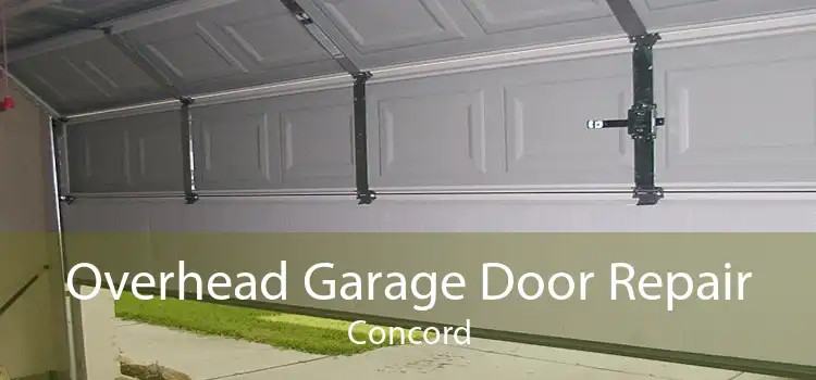 Overhead Garage Door Repair Concord