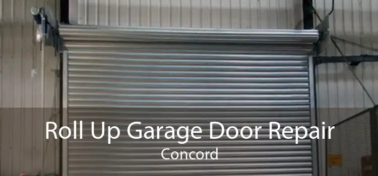 Roll Up Garage Door Repair Concord